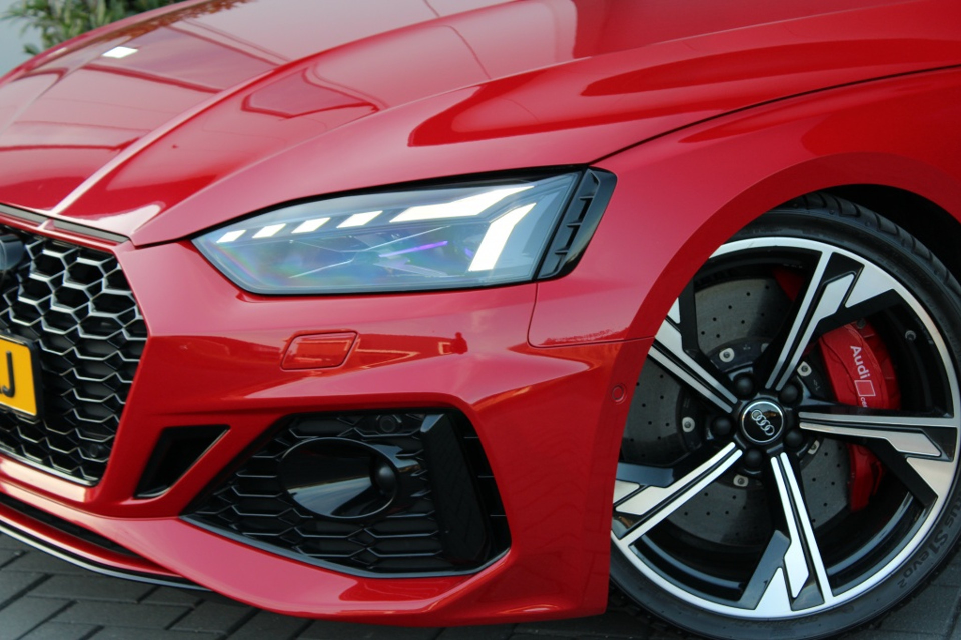45839194-8.jpg